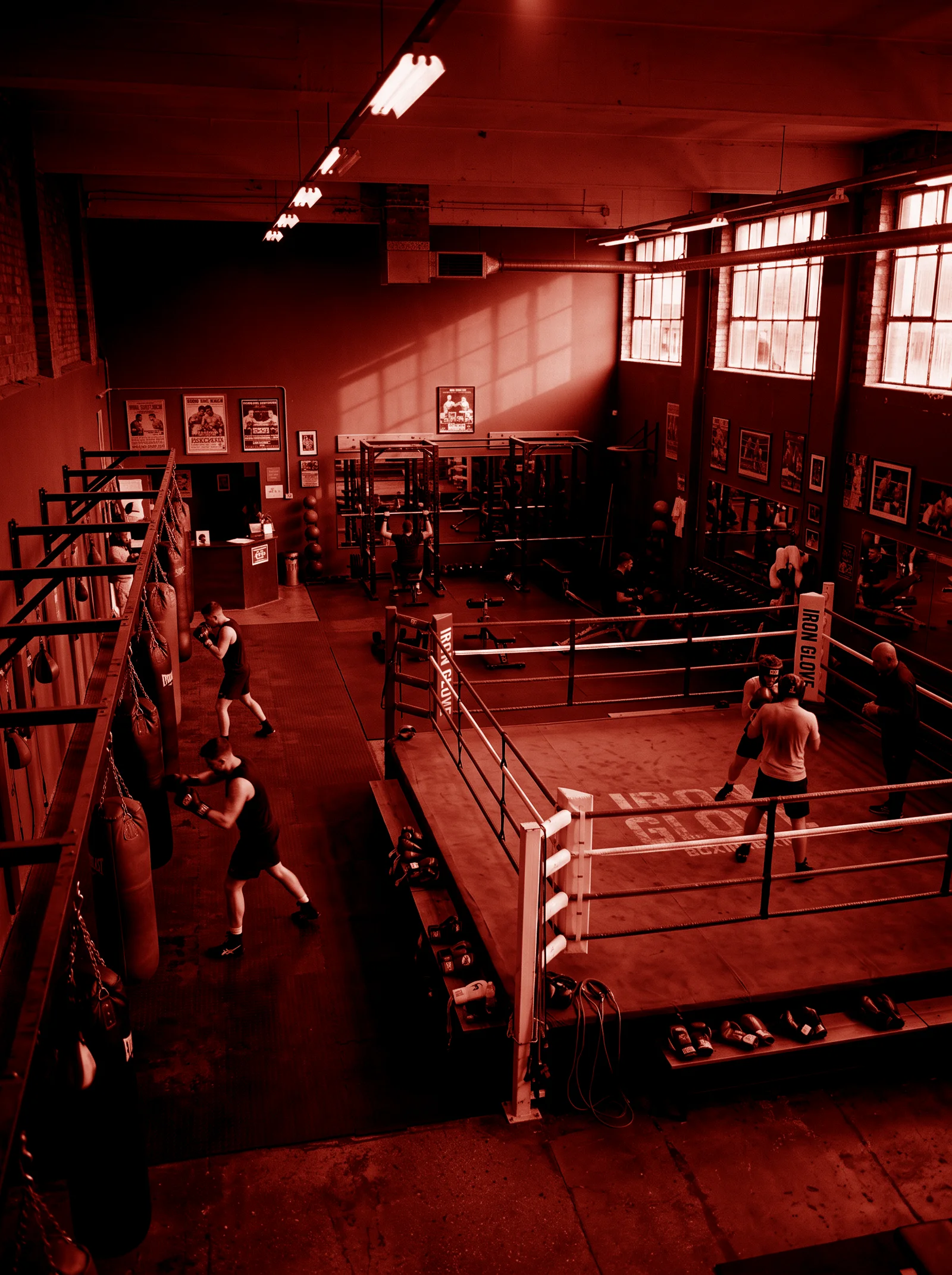 Alex boxing studio